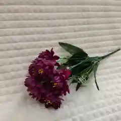 Искусственные цветы астры