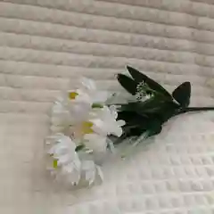 Искусственные цветы астры