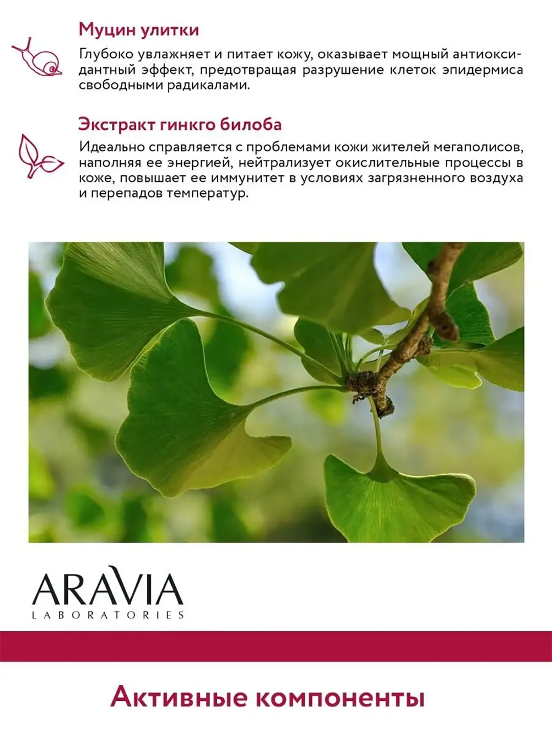 Пенка для умывания с муцином улитки и гинкго билоба 150 МЛ ARAVIA АРАВИЯ