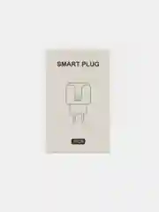Умная розетка WiFi работает с Яндекс Алисой и Марусей