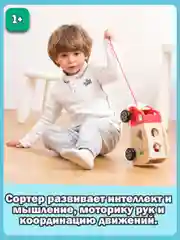 Сортер Грузовик 10564