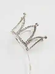 Серый металлик серебряный ободок корона