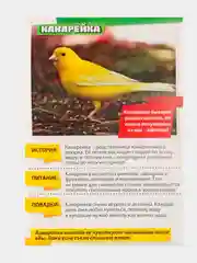 Аметистовый книга для детей Мини - энциклопедии