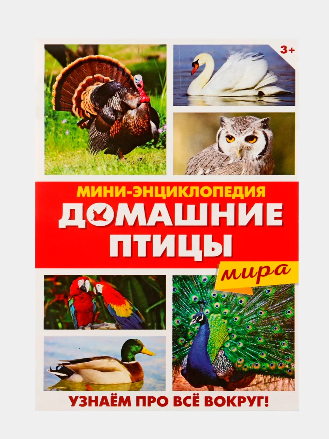 Аметистовый книга для детей Мини - энциклопедии