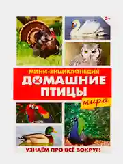 Аметистовый книга для детей Мини - энциклопедии