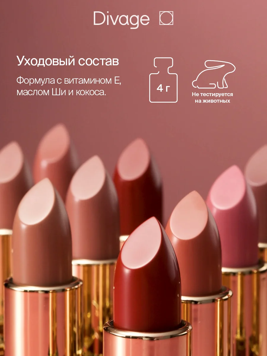 Помада для губ Divage Matte Sensuality Lipstick, тон 4