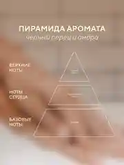 Жидкое мыло для рук, парфюмированное, черный перец и амбра, 450 мл Дозатор в комплекте