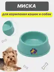 Голубой миска для кормления кошек и собак