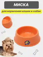 Коралловый миска для кормления кошек и собак