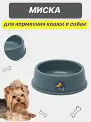 Тёмно-серый миска для кормления кошек и собак