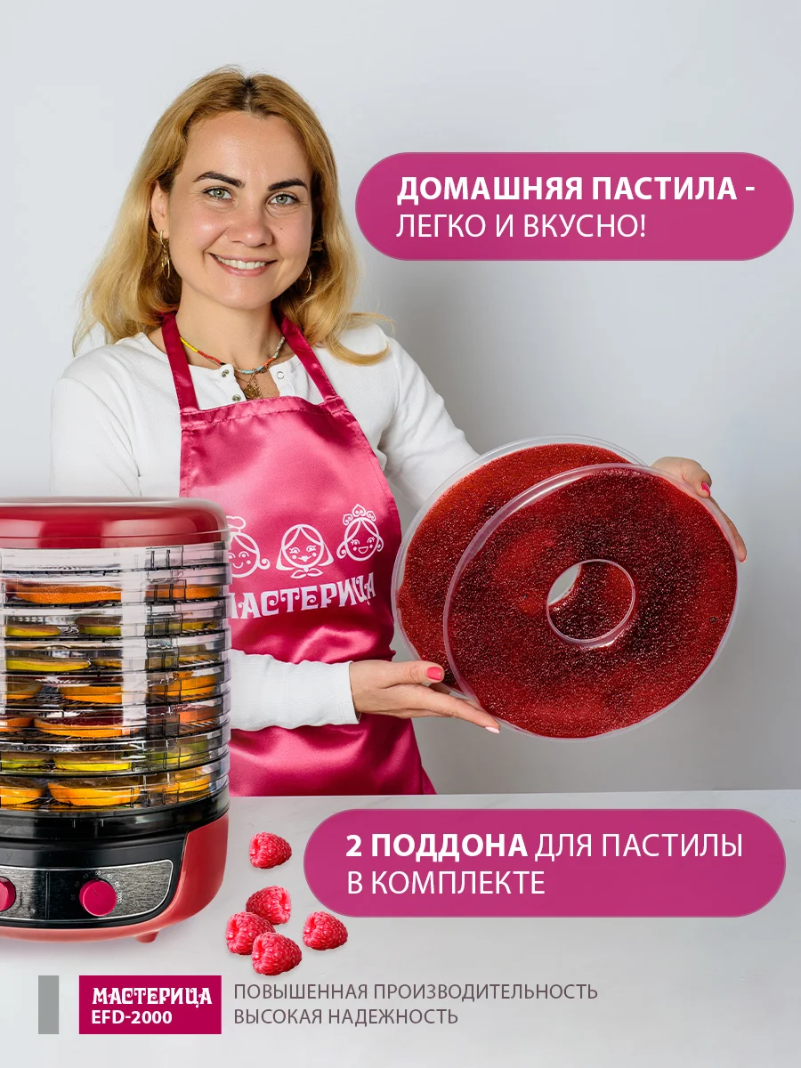 Сушилка для овощей 3в1  Мастерица EFD-2000, 8 поддонов+2 поддона для пастилы в подарок
