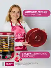Сушилка для овощей 3в1  Мастерица EFD-2000, 8 поддонов+2 поддона для пастилы в подарок