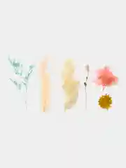 Коралловый набор сухоцветов для творчества, сухие цветы для декора, для маникюра и эпоксидной смолы