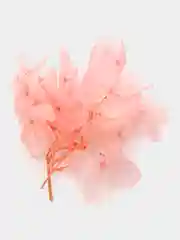 Коралловый набор сухоцветов для творчества, сухие цветы для декора, для маникюра и эпоксидной смолы