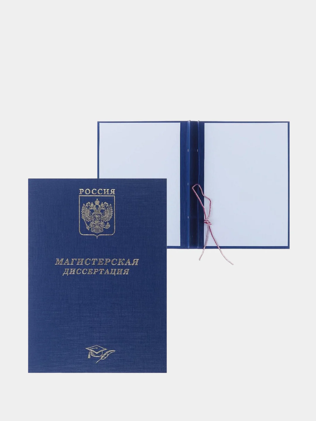 Лазурный папка курсовая, дипломная, выпускная квалификационная работа