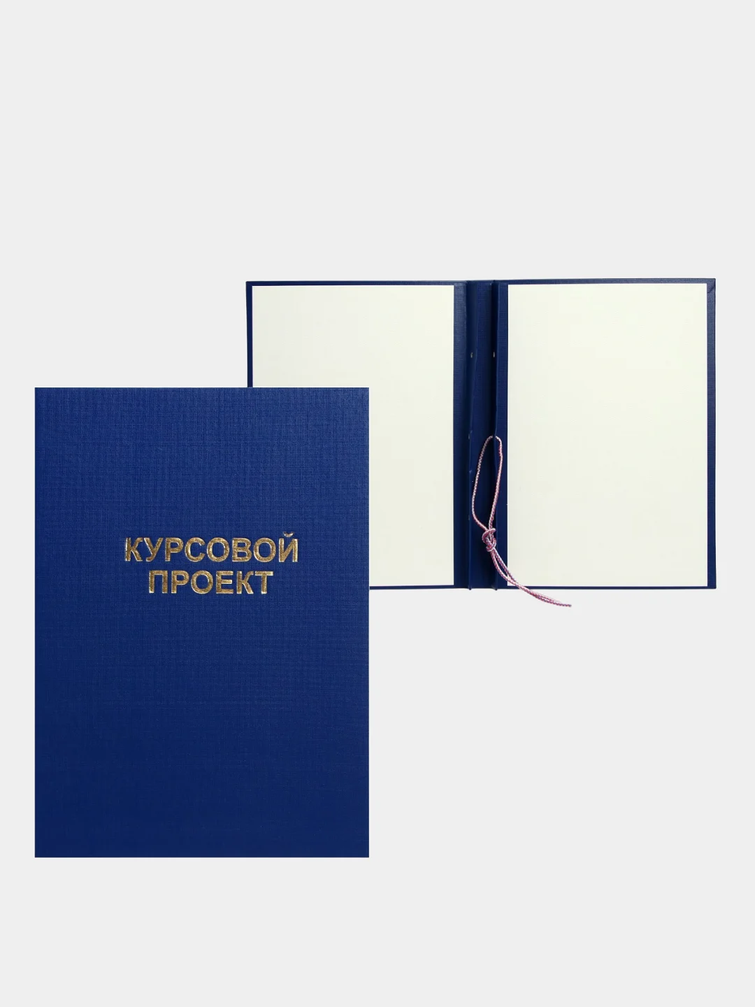 Ледяной папка курсовая, дипломная, выпускная квалификационная работа