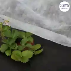 Удача 17 укрывной материал, 3,2х10 м