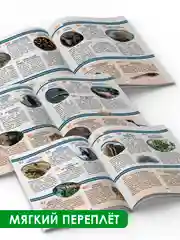 Голубой книга Проф-Пресс "Лучшая детская энциклопедия" 96 стр. 197х250 мм. мягкая обложка