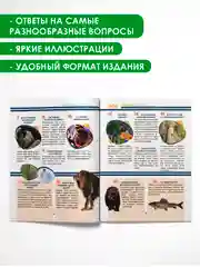 Голубой книга Проф-Пресс "Лучшая детская энциклопедия" 96 стр. 197х250 мм. мягкая обложка