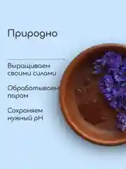 Гидролат Василек, тоник для кожи вокруг глаз, craftzabota 100 мл