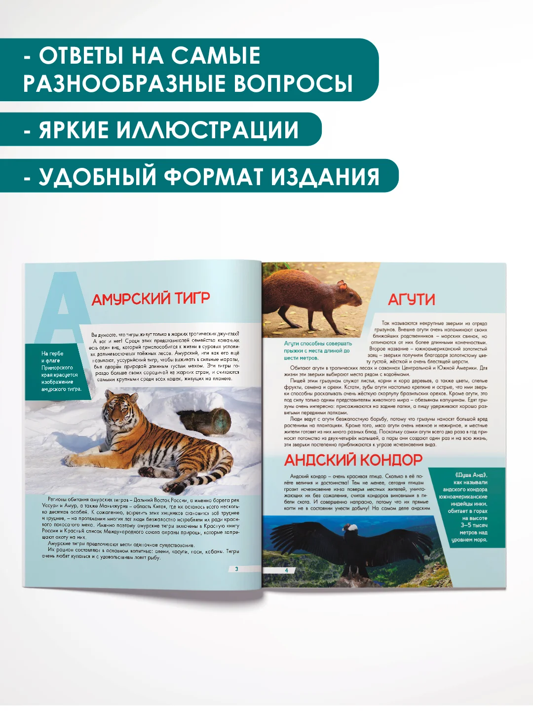 Оранжевый книга Проф-Пресс "Лучшая детская энциклопедия" 96 стр. 197х250 мм. мягкая обложка