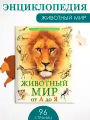 Оранжевый книга Проф-Пресс "Лучшая детская энциклопедия" 96 стр. 197х250 мм. мягкая обложка