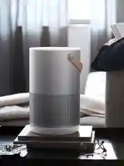 Очиститель воздуха (светло-серый) Smartmi Air Purifier P1 (silver) (ZMKQJHQP12)