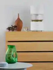 Увлажнитель воздуха Smartmi Humidifier Rainforest (CJJSQ06ZM)