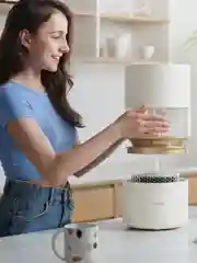 Увлажнитель воздуха Smartmi Humidifier Rainforest (CJJSQ06ZM)