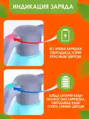 Опрыскиватель аккумуляторный для сада и дома, с распылителем, 2 литра, пульверизатор