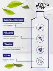 LIVING DEW, Шампунь для для ухода за жирными волосами, "Водопад", деликатное очищение, 500 мл