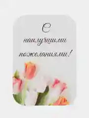 Бежевый мини-открытки/букетные карточки/С отверстием и без/С наилучшими пожеланиями/Учителю/Врачу/