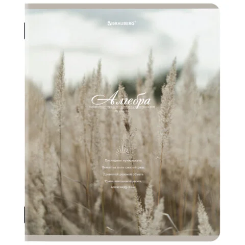 Тетради предметные, КОМПЛЕКТ 12 ПРЕДМЕТОВ, 48 л., SoftTouch, "ESTHETICS",