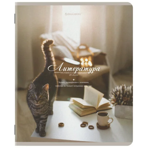 Тетради предметные, КОМПЛЕКТ 12 ПРЕДМЕТОВ, 48 л., SoftTouch, "ESTHETICS",