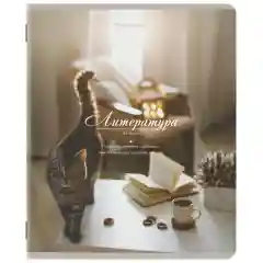 Тетради предметные, КОМПЛЕКТ 12 ПРЕДМЕТОВ, 48 л., SoftTouch, "ESTHETICS",