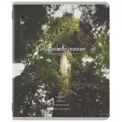 Тетради предметные, КОМПЛЕКТ 12 ПРЕДМЕТОВ, 48 л., SoftTouch, "ESTHETICS",