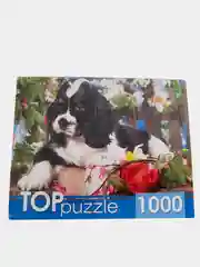 Бирюзовый пазлы 1000 элементов
