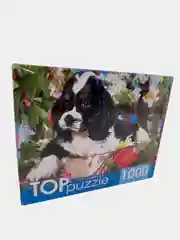 Бирюзовый пазлы 1000 элементов