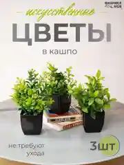 Оливковый набор искусственных растений из 3х шт / Растения / Растение / цветок