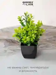 Оливковый набор искусственных растений из 3х шт / Растения / Растение / цветок