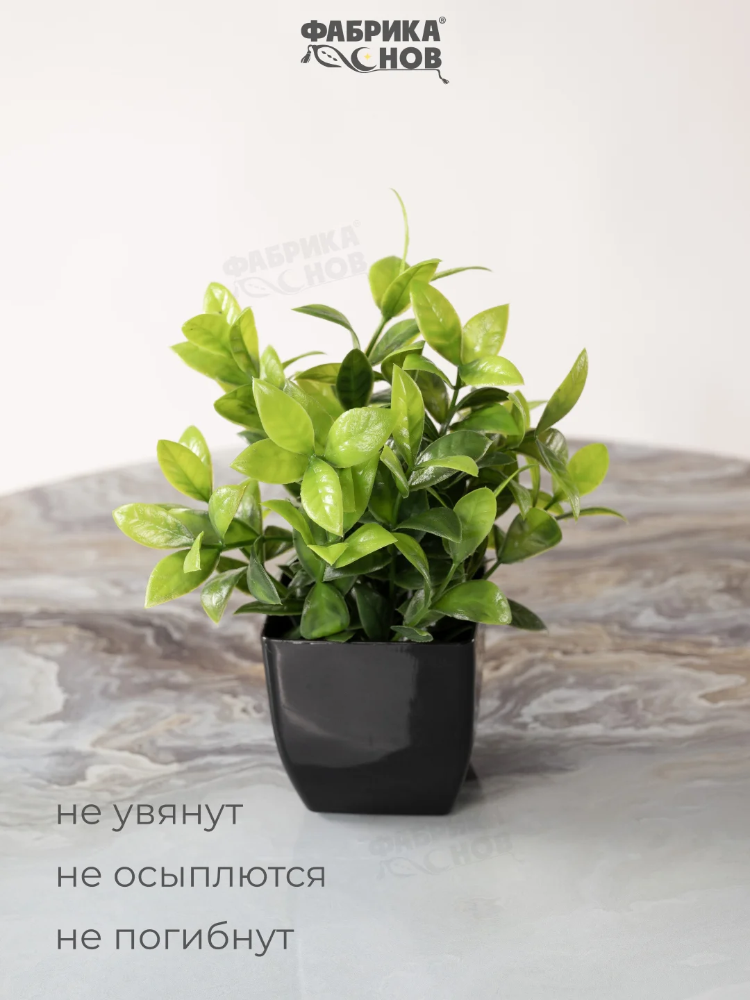 Оливковый набор искусственных растений из 3х шт / Растения / Растение / цветок