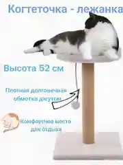 Серый когтеточка для кошек