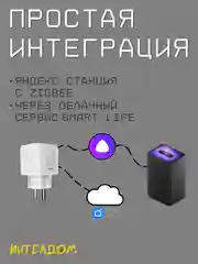 Умная розетка Aubess Zigbee с Алисой