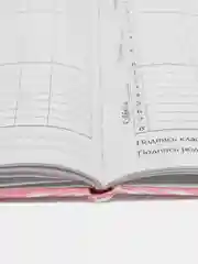 Бронзовый школьный дневник, твердая обложка