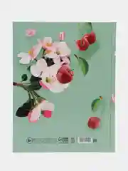 Вишнёвый школьный дневник, твердая обложка