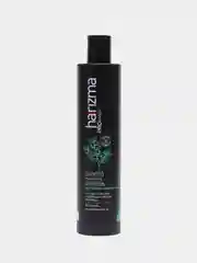 Шампунь для глубокого очищения волос Harizma Prohair Total Purity, 300 мл