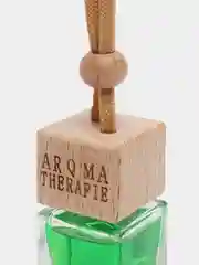 Ароматизатор автомобильный. Асмантус