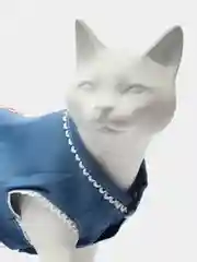 Синий платье для собак и кошек "Лето", праздничный наряд для фотосессий животных