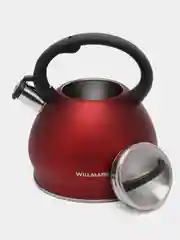 Красный чайник WILLMARK WTK-4221SS