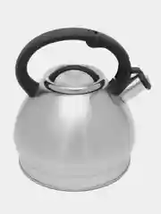 Серый металлик чайник WILLMARK WTK-4221SS